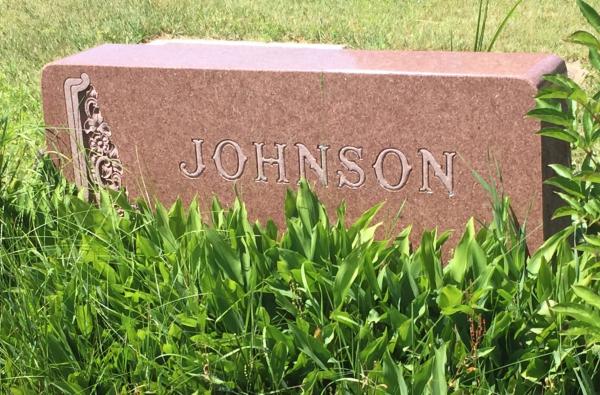  George W. Johnson Family Headstone Image